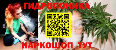 ГАЛЛЮЦИНОГЕННЫЕ ГРИБЫ Лесосибирск
