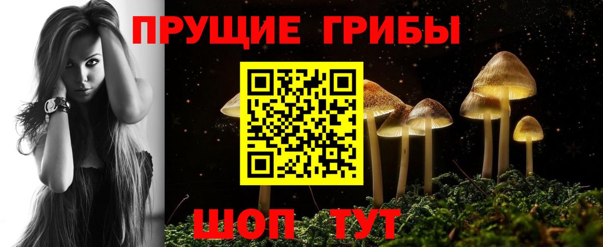Галлюциногенные грибы GOLDEN TEACHER  Вход с VPN  Саянск 